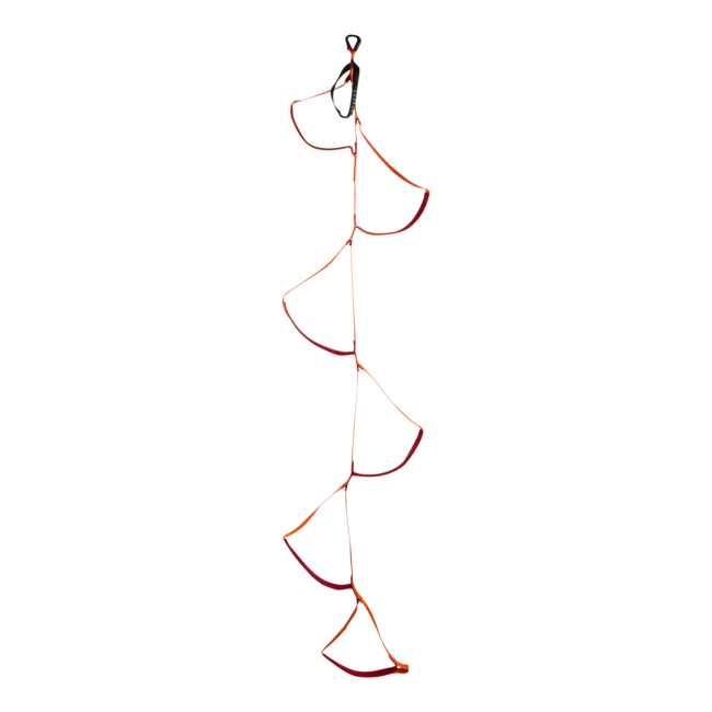 Black Diamond Six-Step Etrier