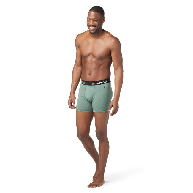 Smartwool Men's Merino Boxer Brief, Sage
