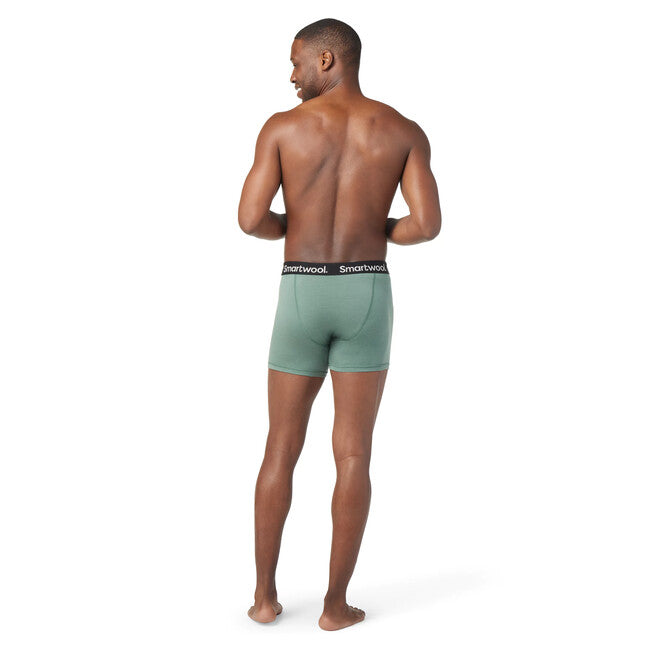 Smartwool Men's Merino Boxer Brief, Sage