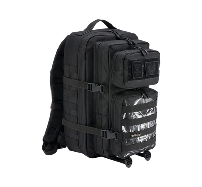 Licensed Backpacks