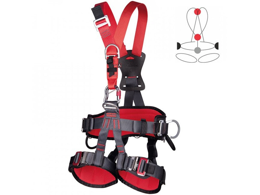 CAMP Golden Top Plus Harness