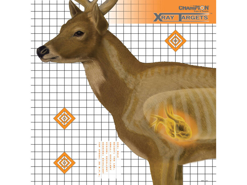 Champion Target Deer X-Ray, 6 pcs