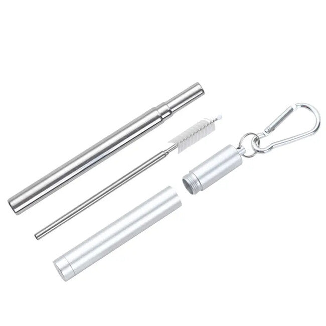 DRAGOWA Tactical Collapsible Metal Straw with Case Mossy, Silver
