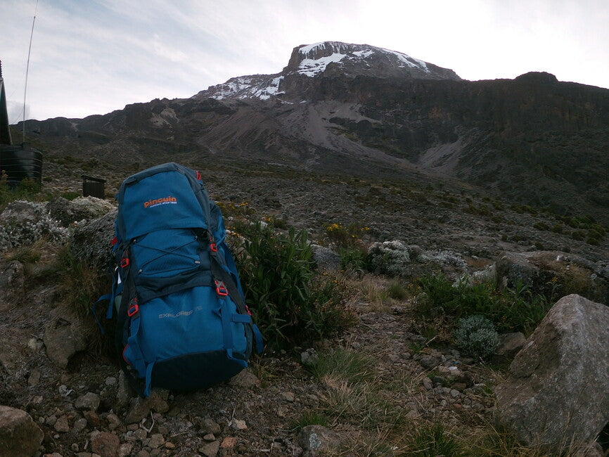 Pinguin Explorer 75 Backpack, 75 L, Navy Blue
