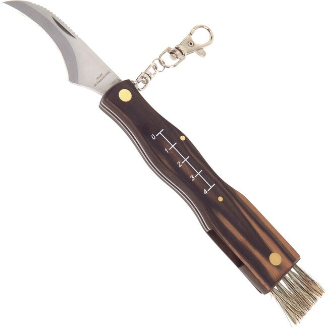 Haller Folding Knife 7cm, Mushroom Hunter