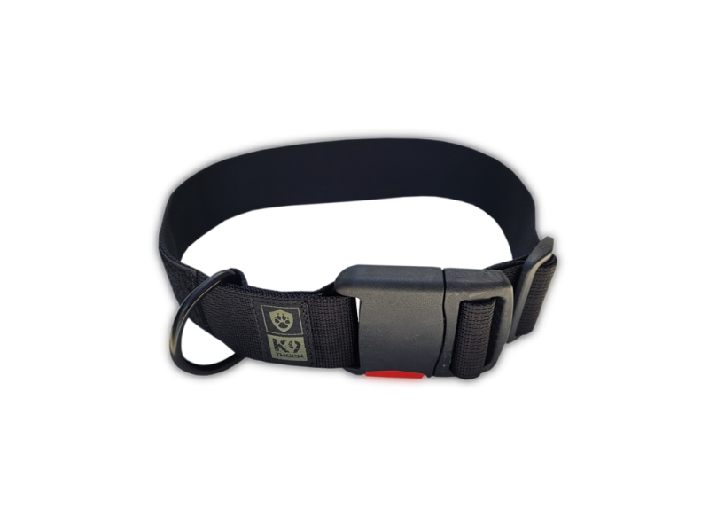 K9 Thorn Collar with Buckle 2M