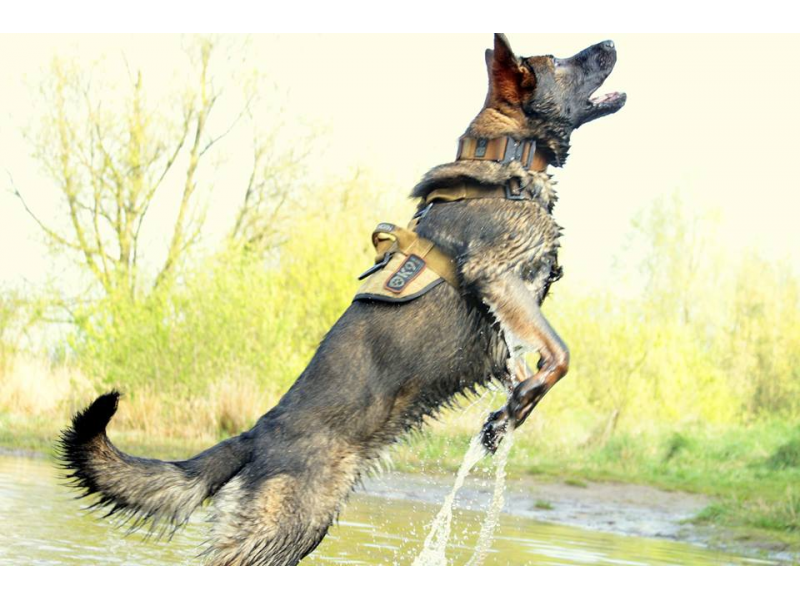 K9 Thorn Delta Harness, Brown Coyote