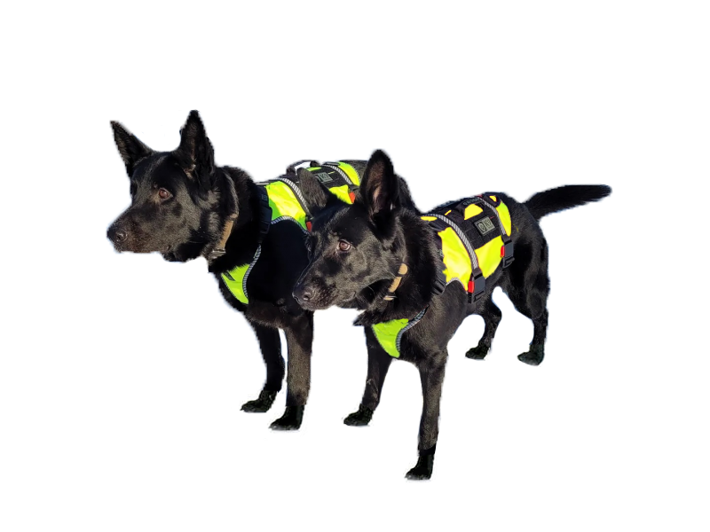 K9 Thorn Harness ONE