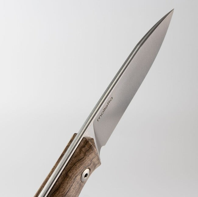 Lionsteel B35 Bushcraft Fixed Blade Knife, Sleipner Steel