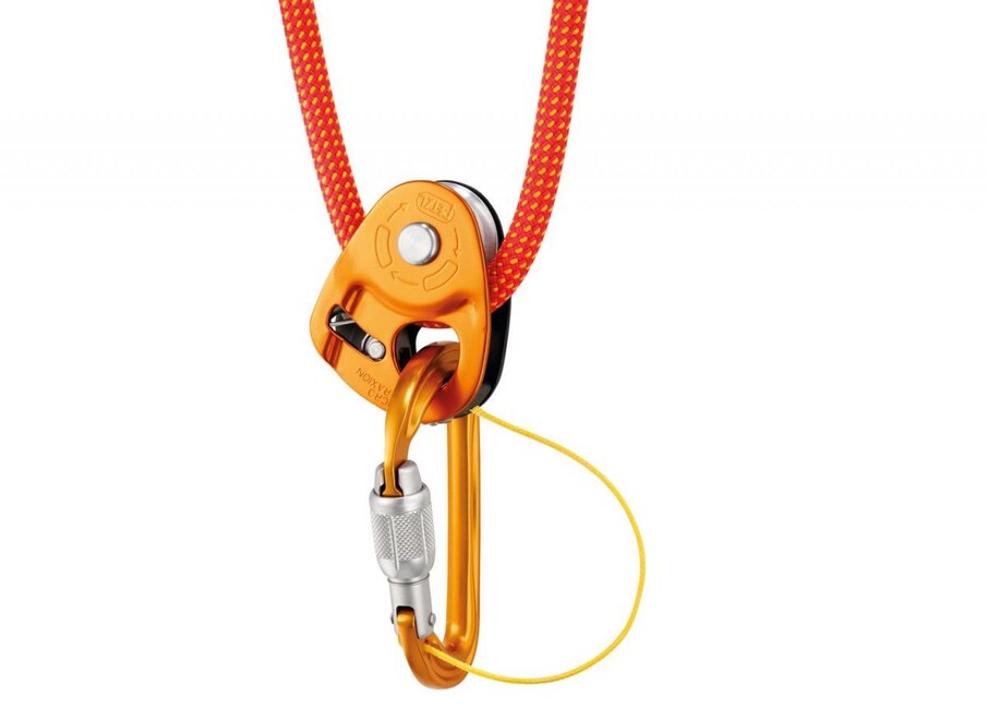 Petzl Sm'D Screw-Lock Carabiner, Silver