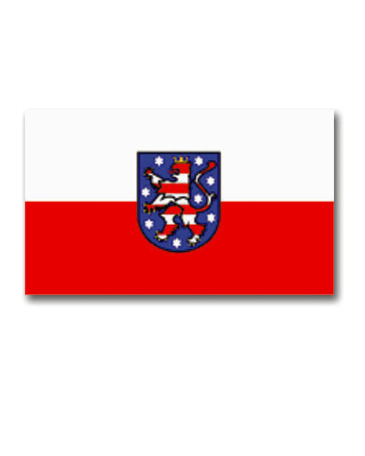 Mil-Tec Thuringia Flag