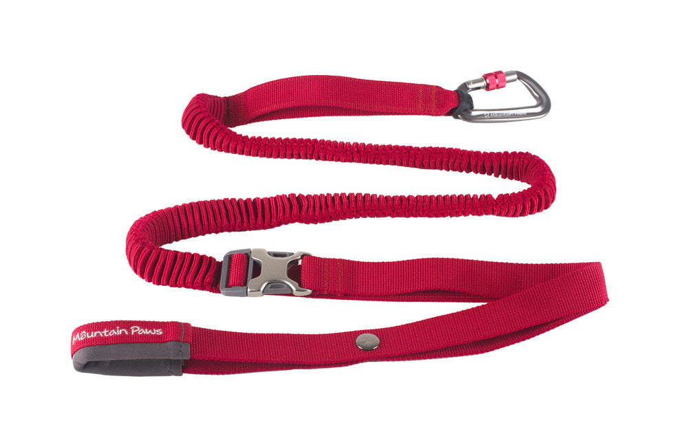 Mountain Paws Shock Absorber Elastic Leash, Red