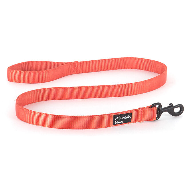 Mountain Paws Dog Leash, Orange