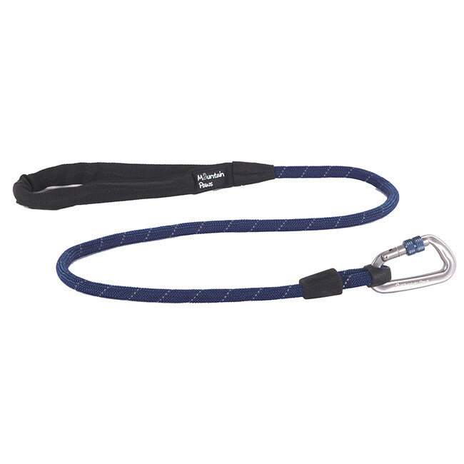 Mountain Paws Dog Leash, Blue