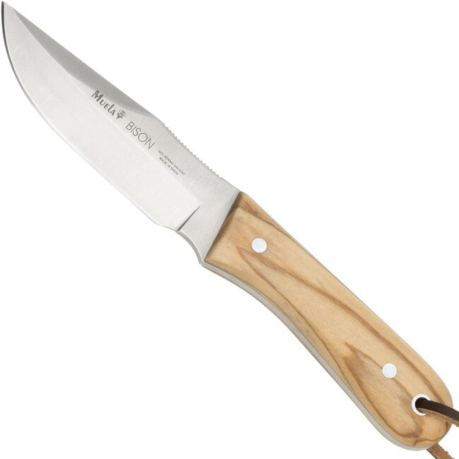 MUELA Bison Fixed Blade Knife, Olive Wood