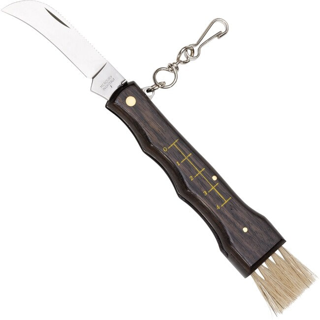 Mushroom Knife with Measure and Brush