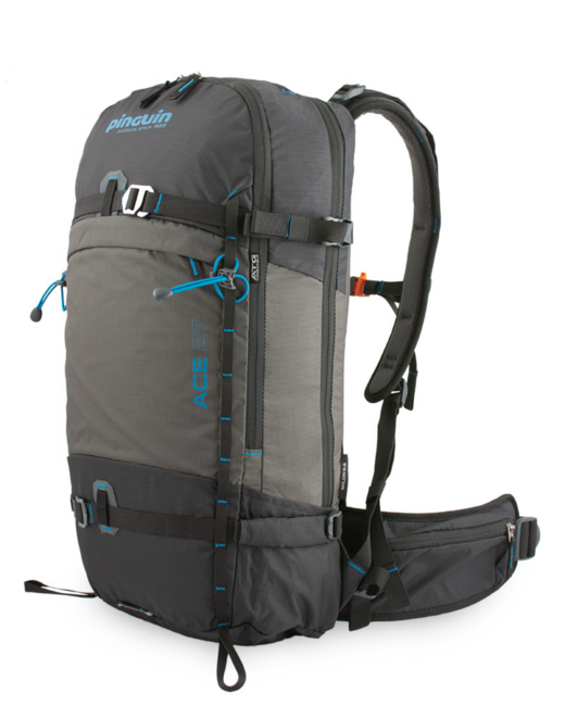 Pinguin Ace 27 Backpack Nylon, 27 L, Black