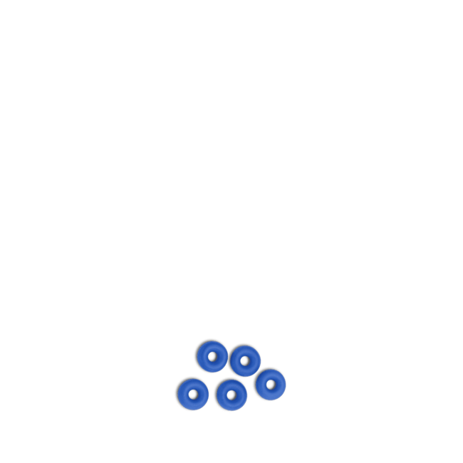 PRIMUS O-ring for Check Valve