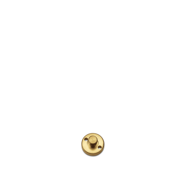 PRIMUS Brass Screw for OmniFuel & MultiFuel