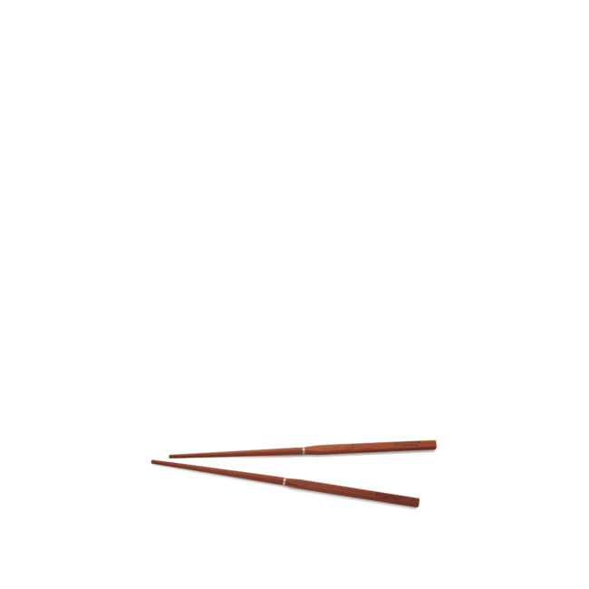 Primus Campfire Tongs