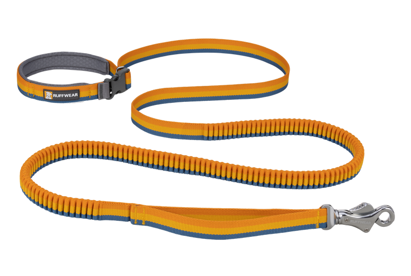 Ruffwear Roamer Leash, Yellow Snow