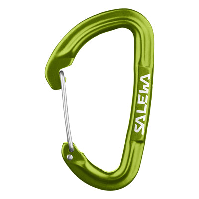 Salewa Hot G3 Carabiner, Green