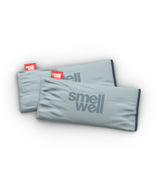SmellWell Active XL Multi-Purpose Deodorizer, Silver Grey