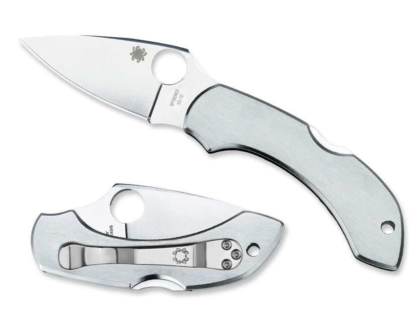 Spyderco Dragonfly Folding Knife, 5.7 cm, Full Metal