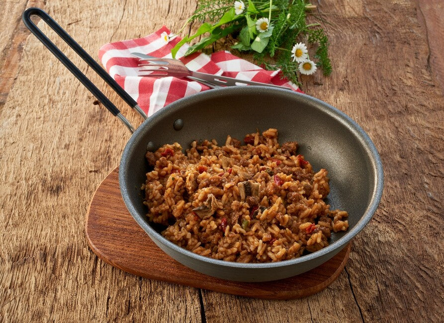 Katadyn Tasty Meat with Rice and GOURMET Spices
