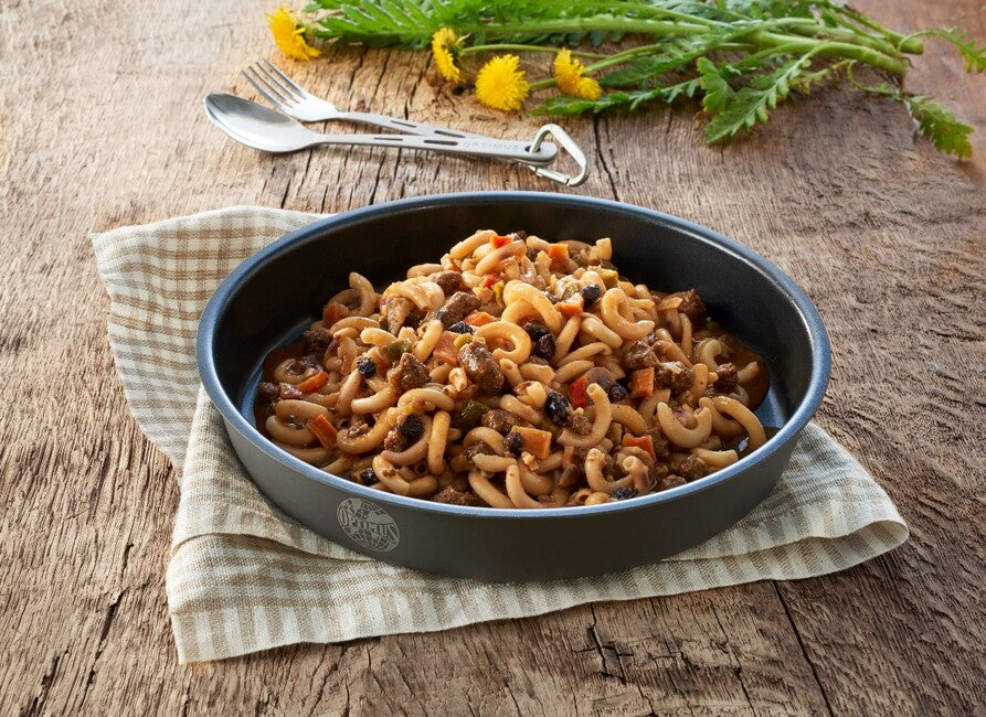 Katadyn Freeze-Dried Beef with Noodles and Game Sauce