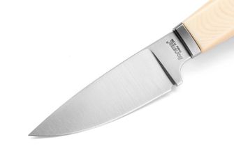 Lionsteel knife with a fixed blade with a handle of Micarta Willy WL1 MW
