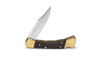 Buck Hunter pocket hunting knife with case, 9.5cm, black