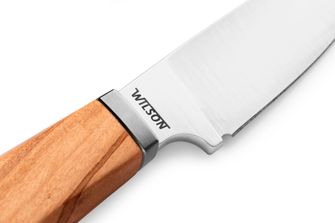 Lionsteel knife with a fixed blade with an olive woodwood handle Willy WL1 UL