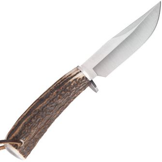Knife with a fixed blade of Mula Braco-11a