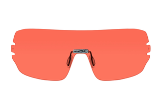 Wiley x detection protective glasses with replaceable glasses