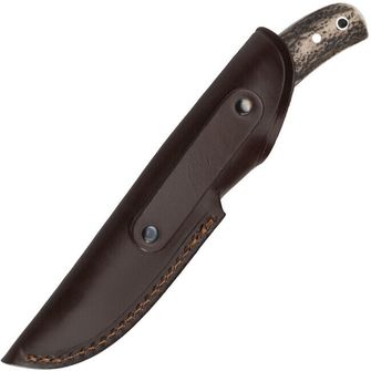 Knife with a fixed blade of Muel Setter-11a