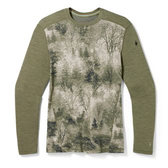 Smartwool functional T -shirt with long sleeve M merino 250 Basalayer Crew boxed, Winter Moss Forest