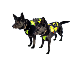 K9 thorn harness One, reflective yellow, xl