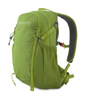 Pinguin Backpack Ride 19, 19 L, Green