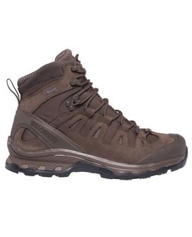 Salomon Quest 4D GTX Forces 2 EN shoes, brown slate brown