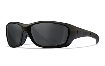 Wiley x gravity sunglasses polarized, gray
